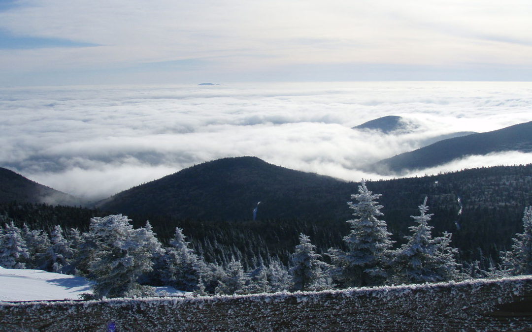 Join Our TEP at the Vermont Health Care Association Annual Convention