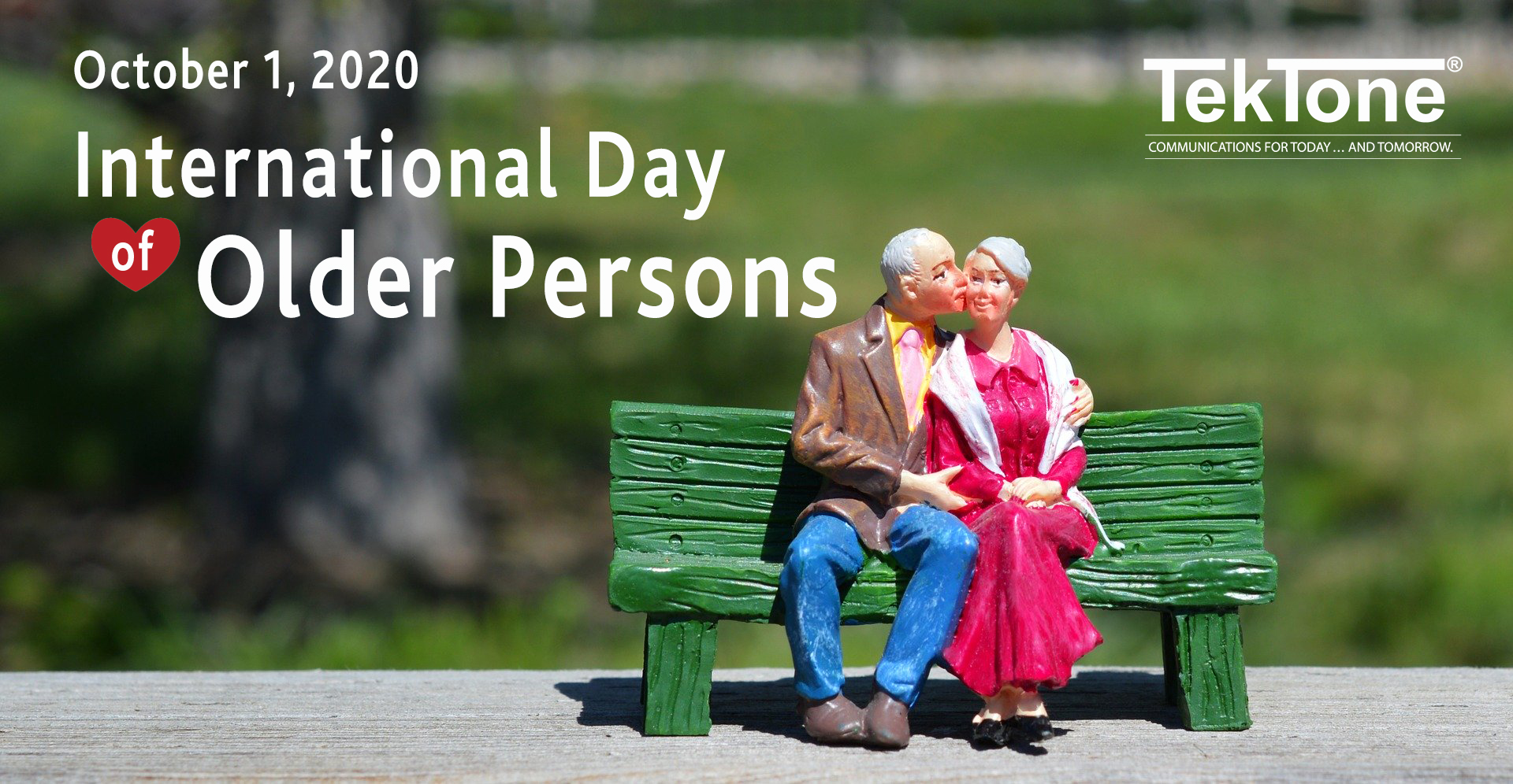 Celebrating International Day of Older Persons - TekTone®
